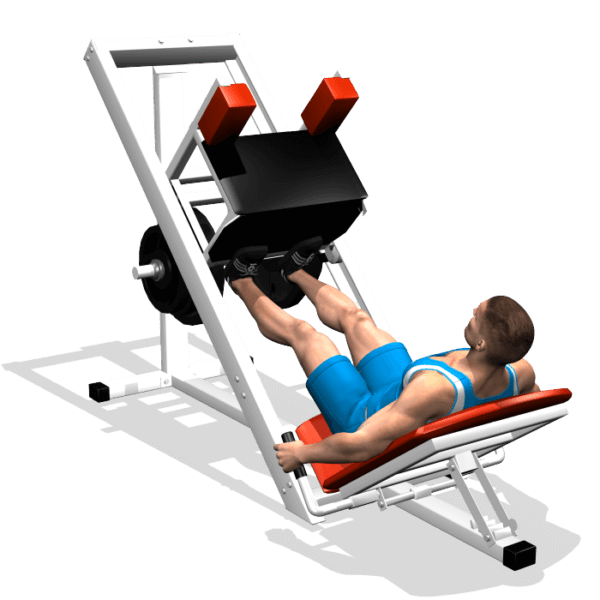 CALF PRESSA 45 EvolutionFit