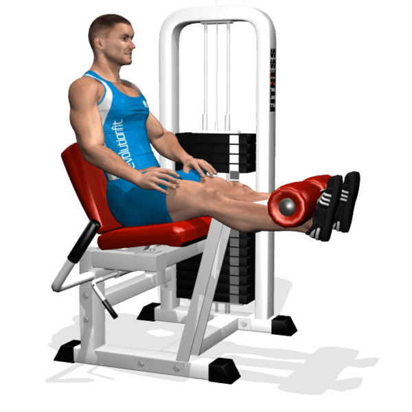 LEG EXTENSION EvolutionFit