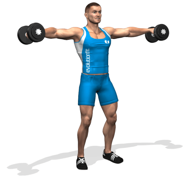 VOLARE IN PIEDI 2 MANUBRI EvolutionFit