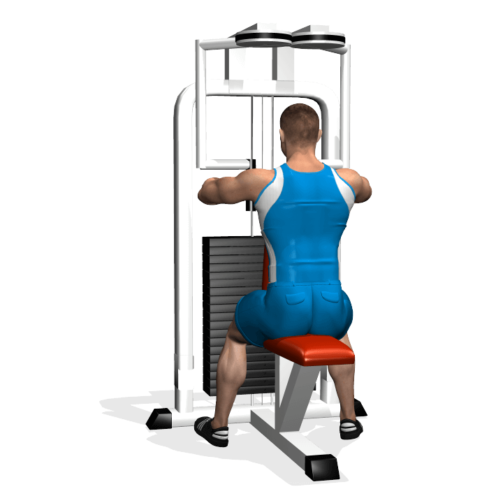 Allenamento spalle aperture peck inizio allenamento spalle aperture peck inizio