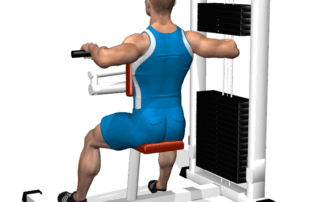allenamento spalle trazioni upper back fine