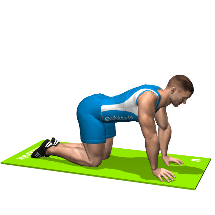 allenamento stretching posizione del gatto inizio