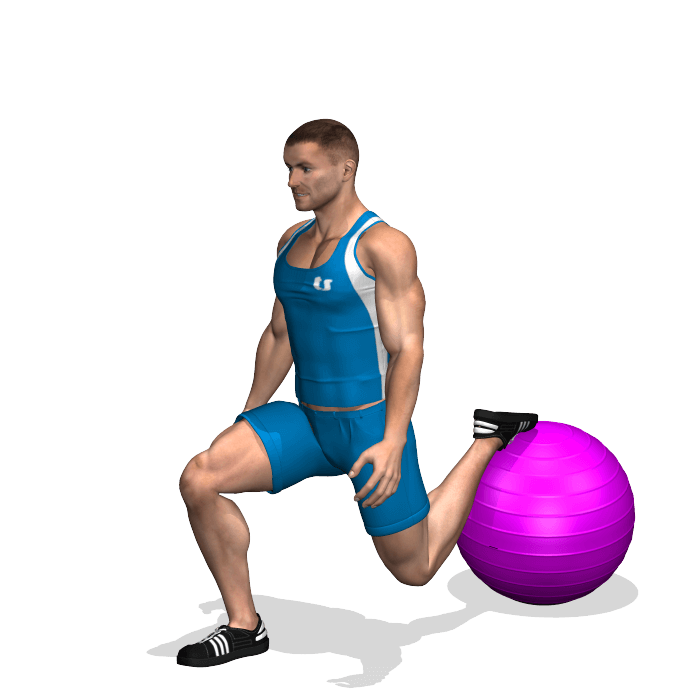 allenamento quadricipiti squat bulgaro fitball fine