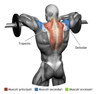 mappa muscolare trapezi tirate al mento bilanciere