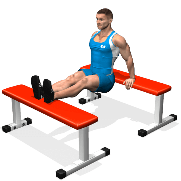 FLESSIONI 2 PANCHE EvolutionFit