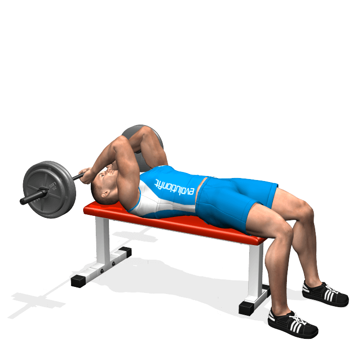 Esercizi Tricipiti Vedi I Migliori Pagina 1 Evolutionfit Esercizi Tricipiti Vedi I Migliori Pagina 1 Evolutionfit